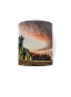 snapshot(926).png
