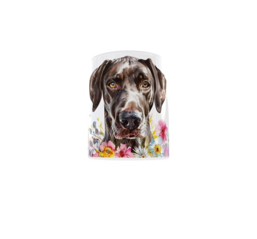snapshot(899).png