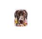 snapshot(902).png