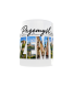67a20801533dbf51285bd32a879dfdfe.png